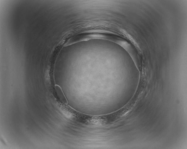 X0000071780209200607071438