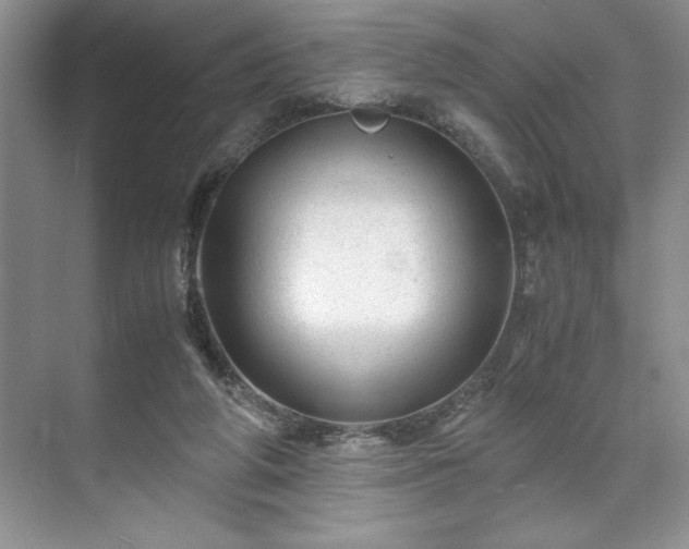 X0000071780210200607071438