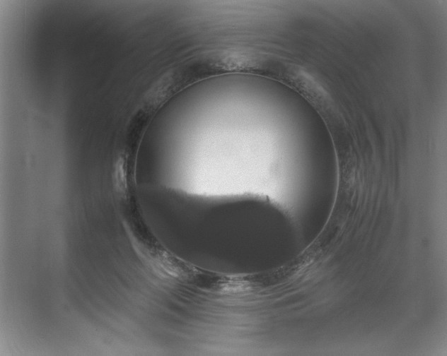 X0000071780214200607071438