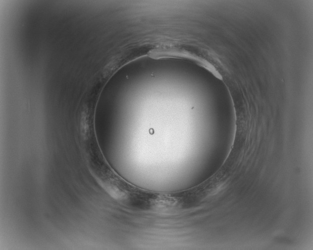 X0000071780215200607071438