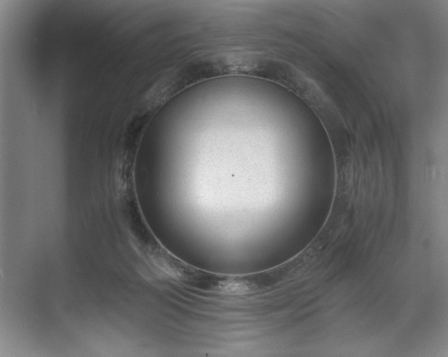 X0000071780218200607071438