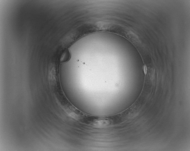 X0000071780220200607071438