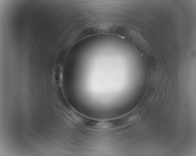 X0000071780225200607071438