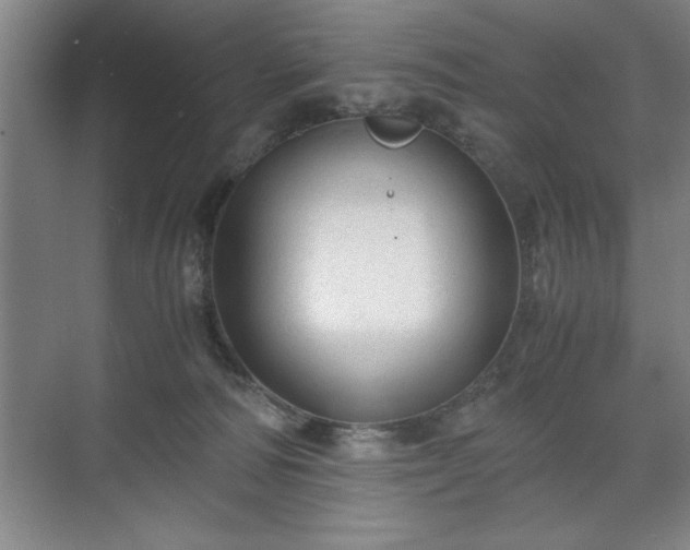 X0000071780226200607071438