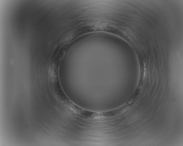 X0000071780228200607071438