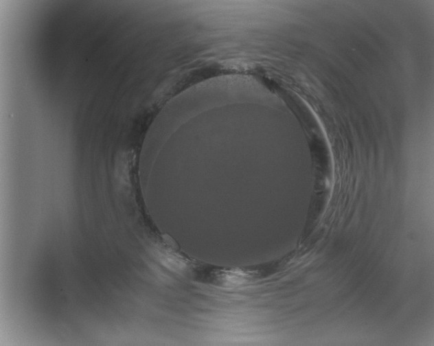 X0000071780229200607071438