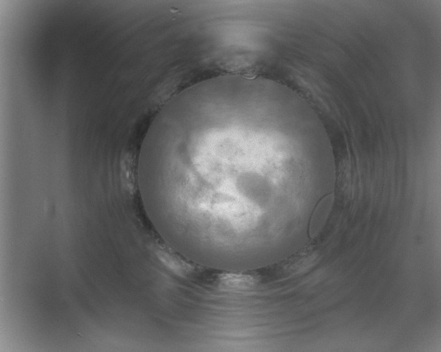 X0000071780234200607071438