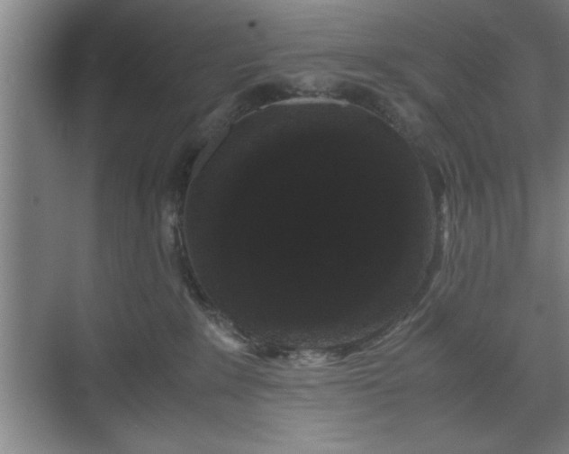 X0000071780235200607071438