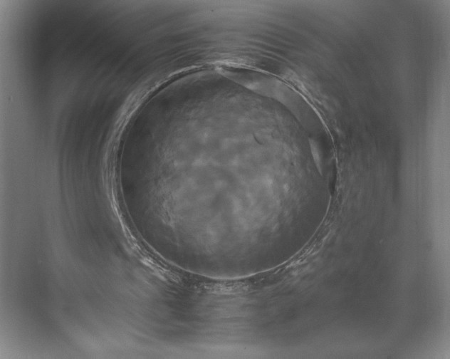 X0000071780241200607071437