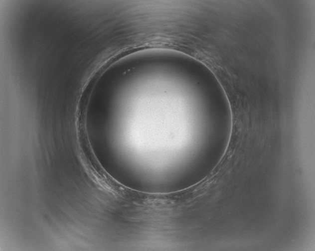 X0000071780242200607071437