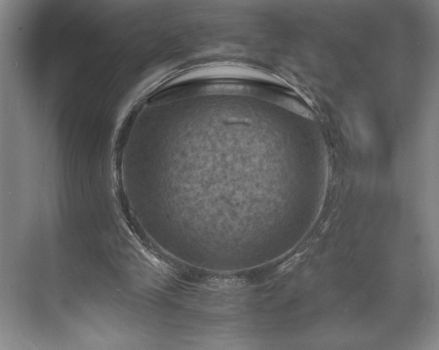 X0000071780245200607071437