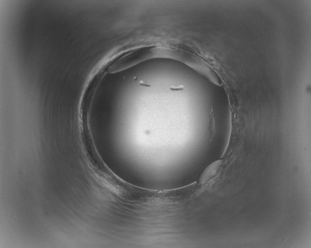 X0000071780246200607071437