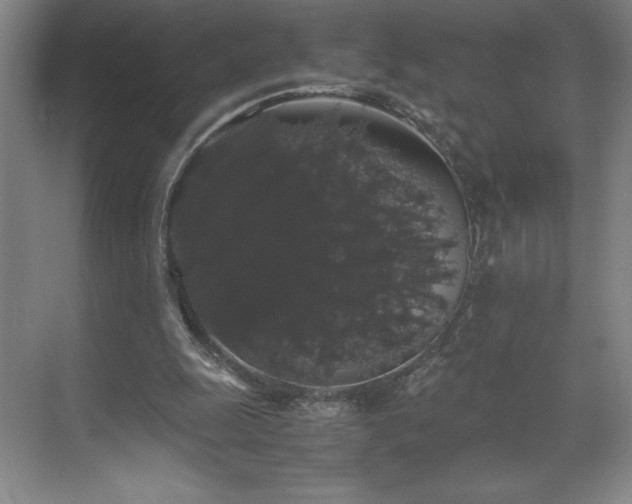 X0000071780247200607071437