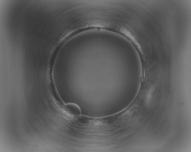 X0000071780249200607071437