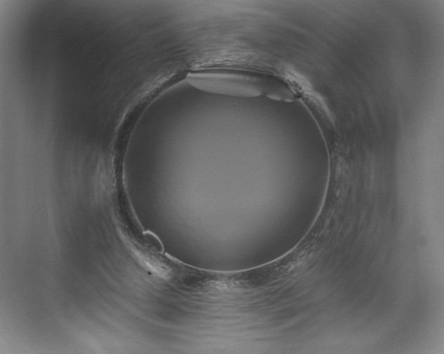 X0000071780250200607071437