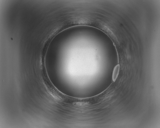 X0000071780251200607071437