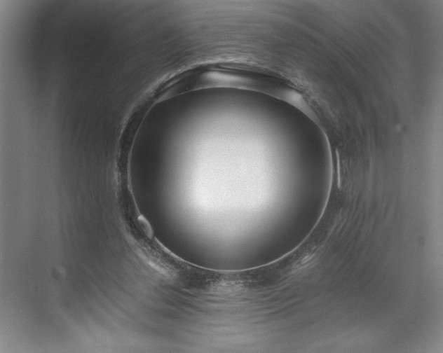 X0000071780252200607071437