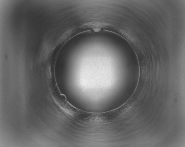 X0000071780254200607071437