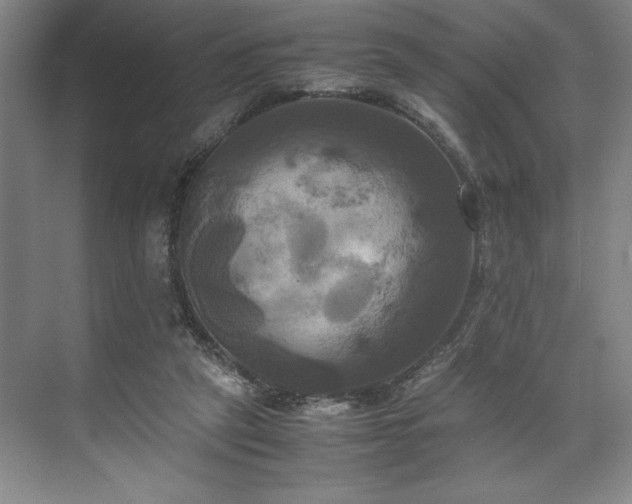 X0000071780257200607071437