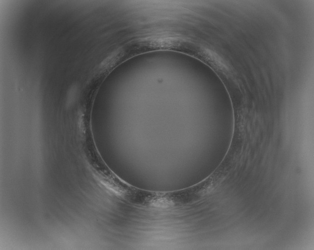 X0000071780258200607071437