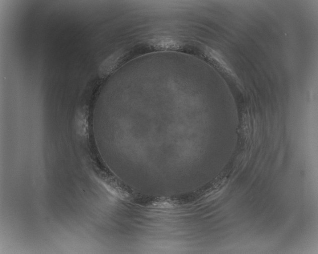 X0000071780259200607071437