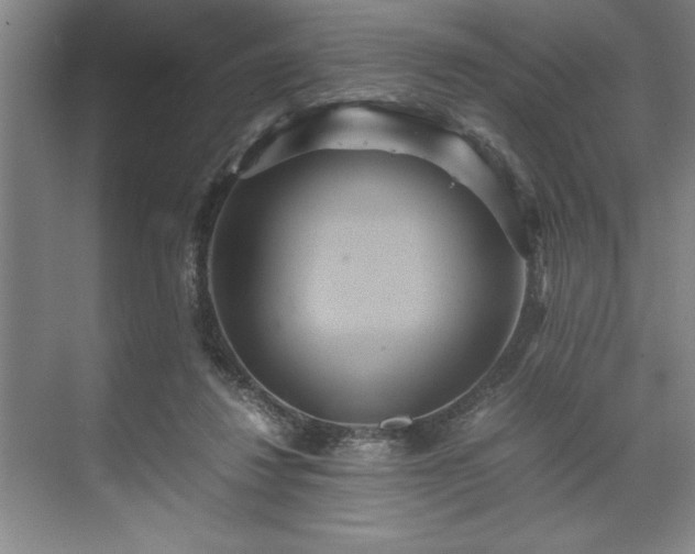 X0000071780260200607071437