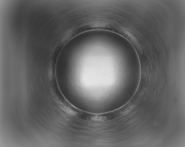 X0000071780261200607071437