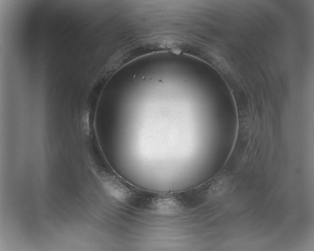 X0000071780262200607071437