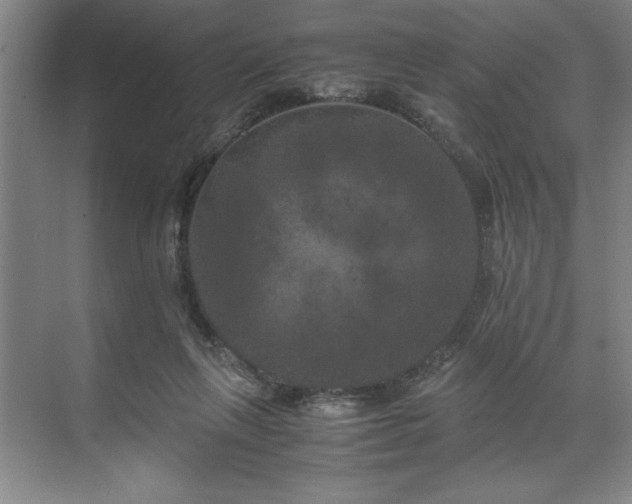 X0000071780263200607071437