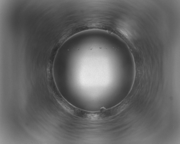 X0000071780265200607071437