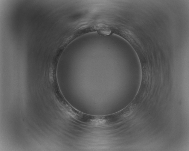 X0000071780266200607071437