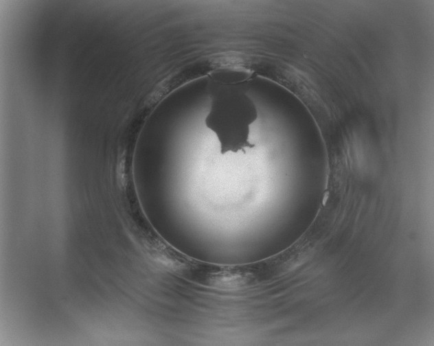 X0000071780267200607071437