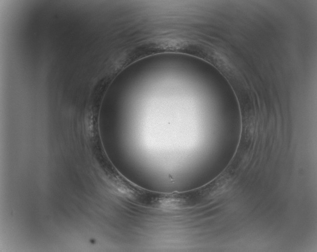 X0000071780268200607071437