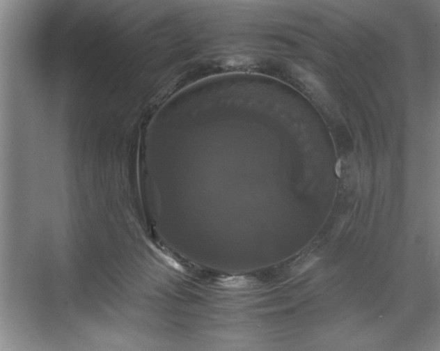 X0000071780269200607071437