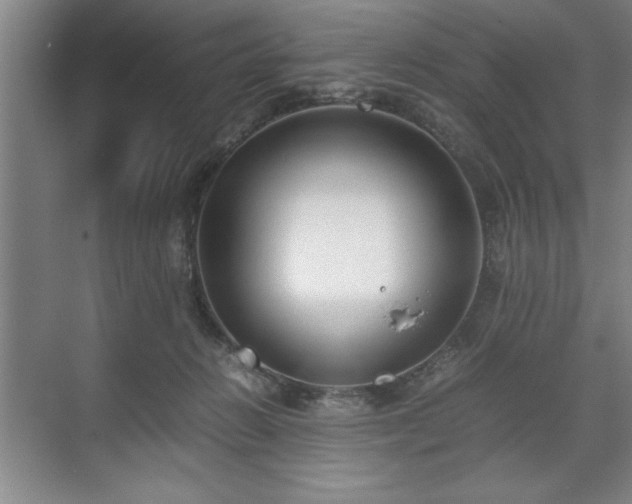 X0000071780270200607071437