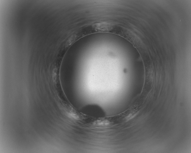 X0000071780271200607071437