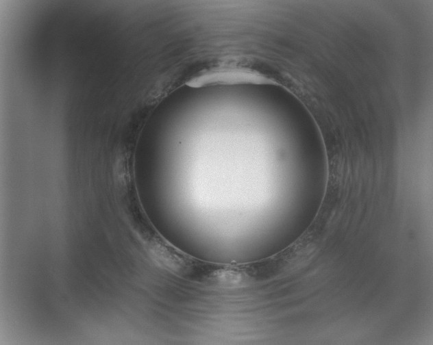 X0000071780272200607071437