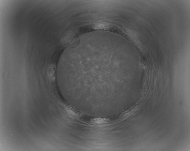 X0000071780273200607071437