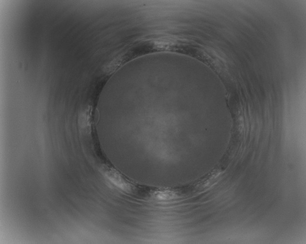 X0000071780275200607071437