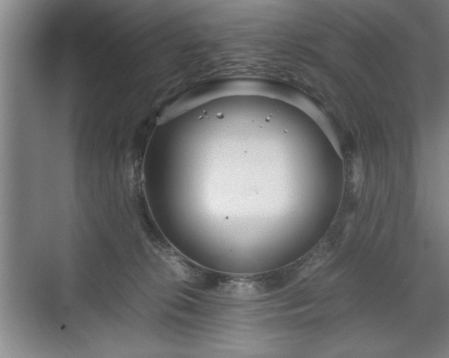 X0000071780276200607071437