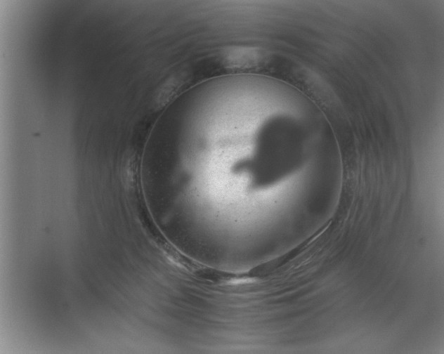 X0000071780277200607071437