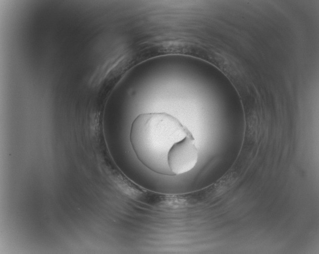 X0000071780278200607071437