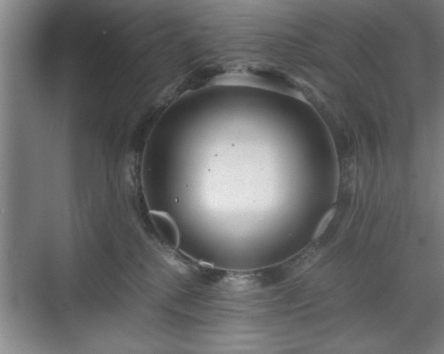 X0000071780280200607071437