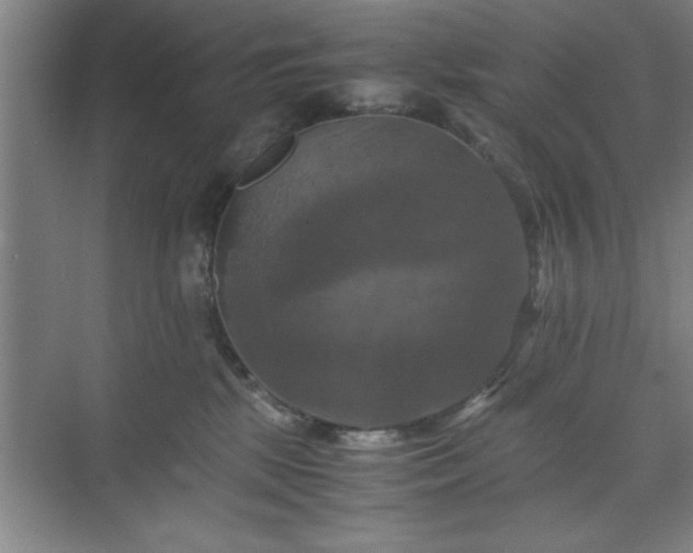 X0000071780281200607071437