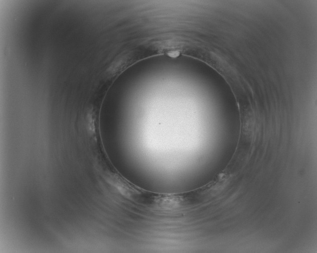 X0000071780282200607071438