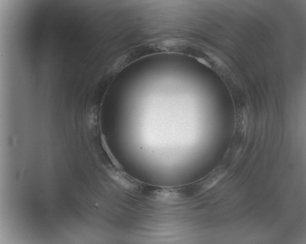 X0000071780284200607071438