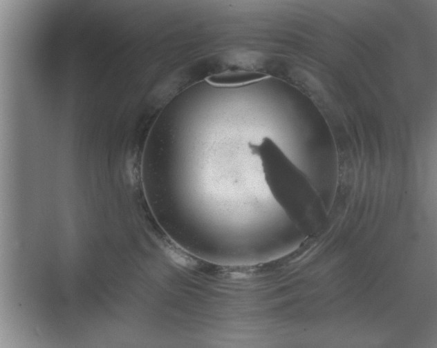 X0000071780285200607071438