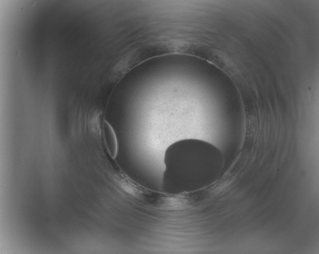 X0000071780286200607071438