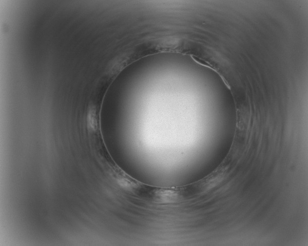 X0000071780287200607071438