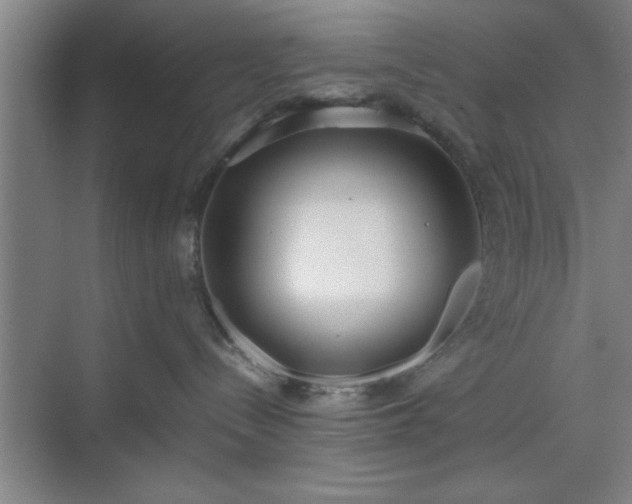 X0000071780288200607071438